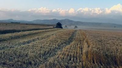 „Софија Градба“ расчисти со акциите во ЗК „Пелагонија“, нов мнозински акционер е „Орка Холдинг“