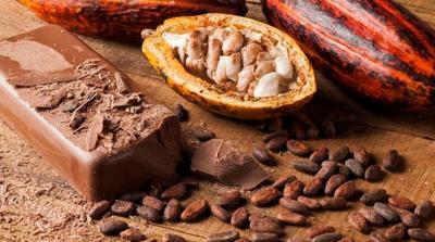 Трговците бележат загуби од најмалку милијарда долари поради скапото какао